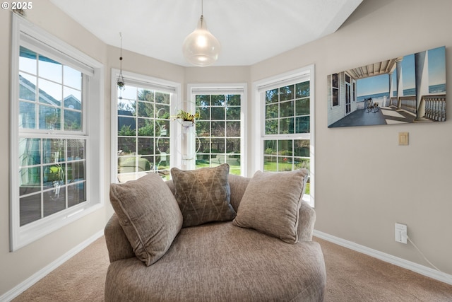 living area with carpet