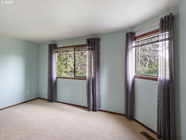 carpeted empty room featuring a textured ceiling and a healthy amount of sunlight