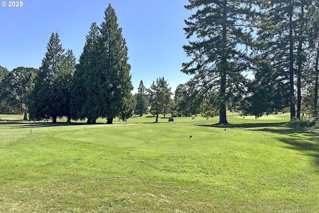 view of home's community featuring a yard