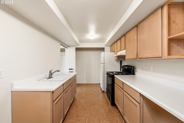 kitchen with light countertops, black range with electric stovetop, under cabinet range hood, and a sink