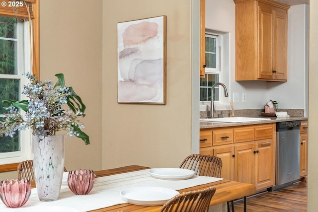 kitchen with stainless steel dishwasher, dark wood-style flooring, a sink, and light countertops