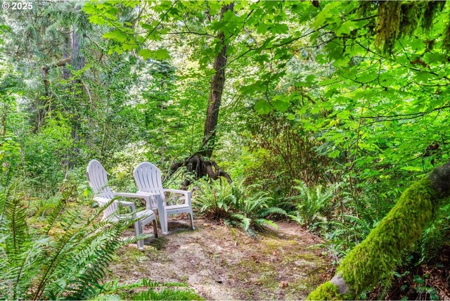 view of yard featuring a forest view