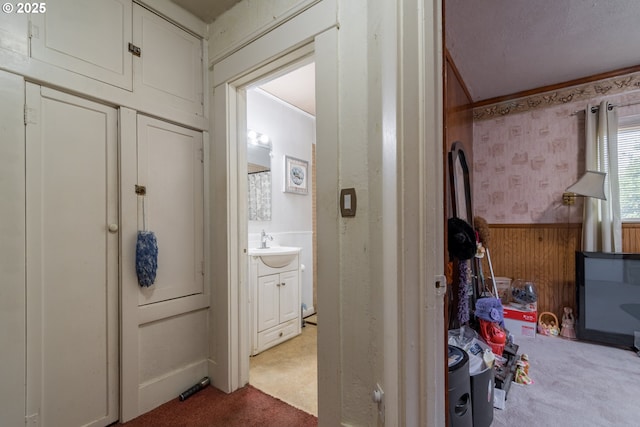 860 Adams St, Eugene, OR 97402 - hall with carpet, a wainscoted wall, a sink, wooden walls, and wallpapered walls