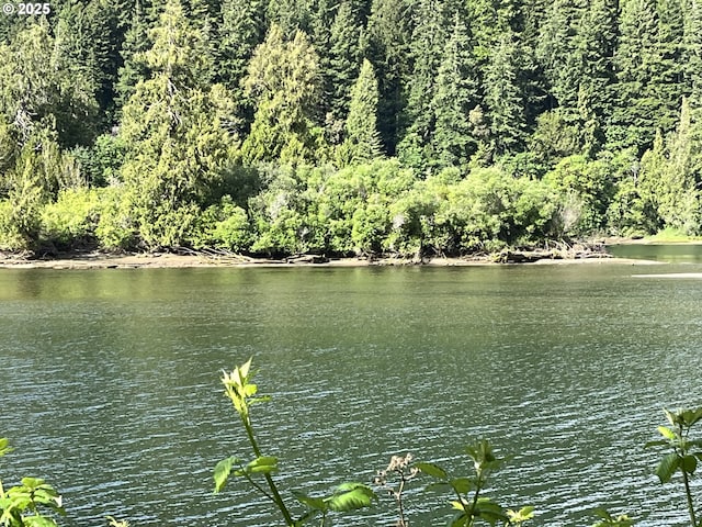 34376 State Highway 38, Scottsburg, OR 97473 - water view featuring a forest