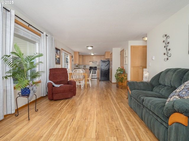 living room featuring light hardwood / wood-style flooring