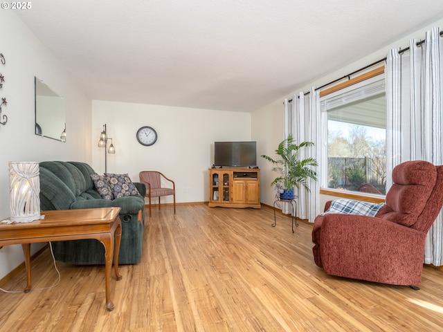 living room featuring light hardwood / wood-style flooring