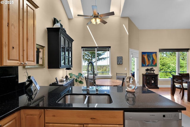 3563 Jake Mann Ln, Florence, OR 97439 - kitchen with a sink, stainless steel dishwasher, a ceiling fan, wood finished floors, and dark stone countertops