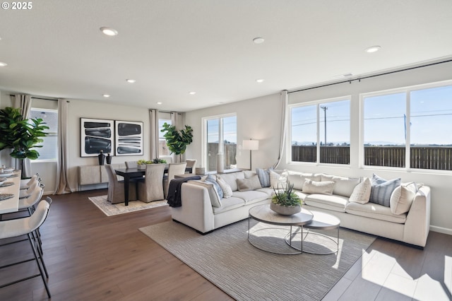 living room with dark hardwood / wood-style flooring