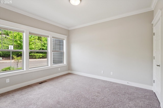 spare room featuring ornamental molding, baseboards, carpet, and healthy amount of natural light