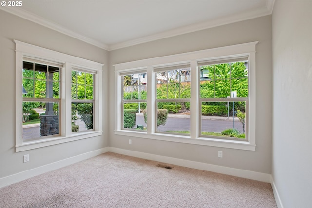 spare room with carpet flooring, crown molding, healthy amount of natural light, and baseboards