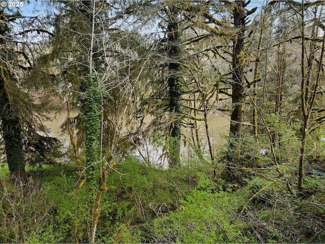 view of landscape with a wooded view