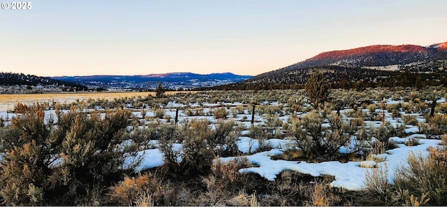 Listing photo 3 for Camp Creek Rd, Prineville OR 97754