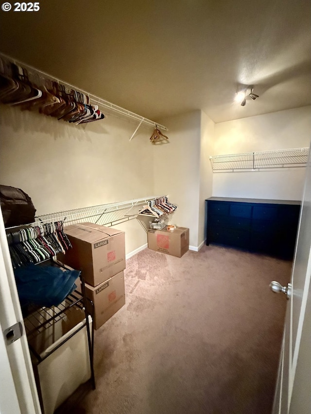 4002 N 3rd Cir, Ridgefield, WA 98642 - spacious closet featuring carpet floors