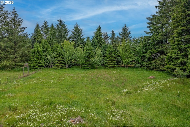 10303 SE Bull Run Rd, Corbett, OR 97019 - view of yard