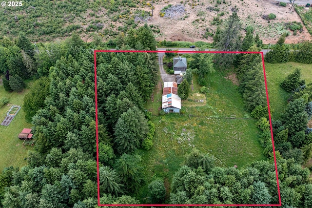 10303 SE Bull Run Rd, Corbett, OR 97019 - view of property location with property boundaries highlighted