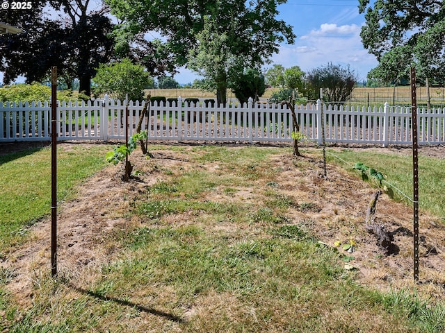 4887 S Elliott Prairie Rd, Woodburn, OR 97071 - view of yard