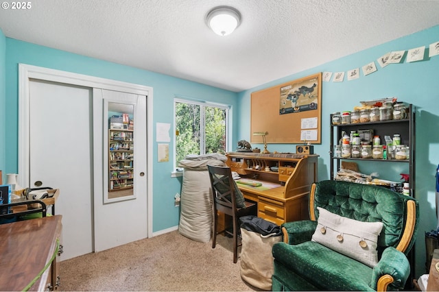 carpeted office featuring a textured ceiling