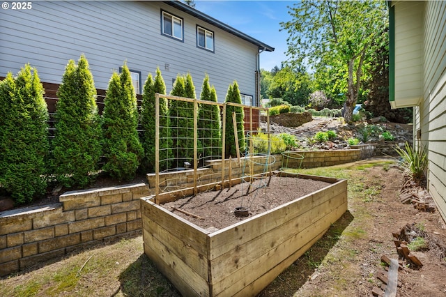 view of yard featuring a vegetable garden