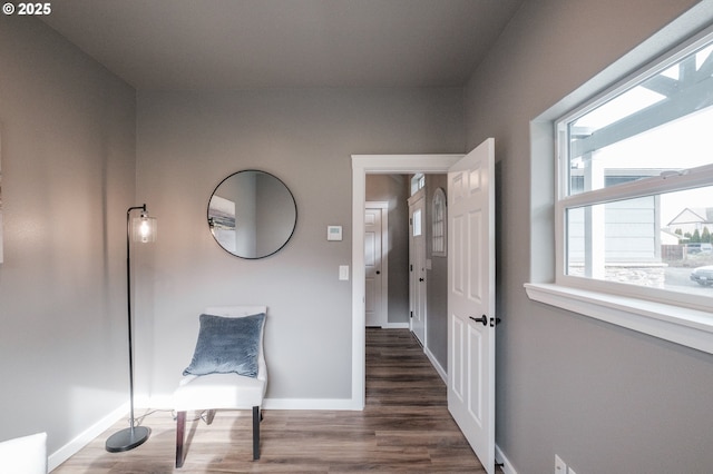 hallway featuring dark hardwood / wood-style flooring