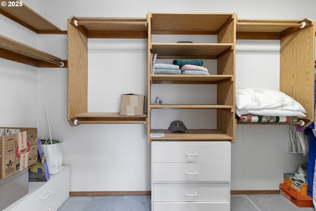 8346 SE 141st Ave, Portland, OR 97236 - walk in closet featuring carpet