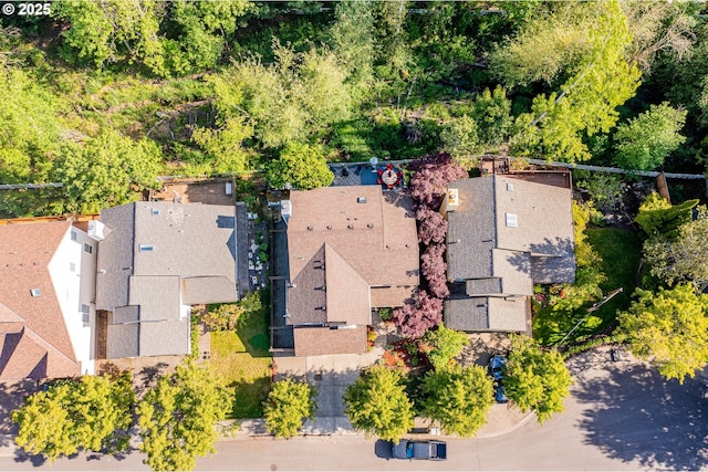 drone / aerial view