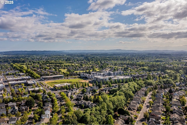 aerial view