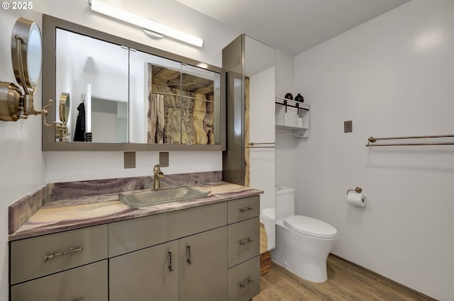 full bathroom featuring wood finished floors, toilet, vanity, and a shower with shower curtain