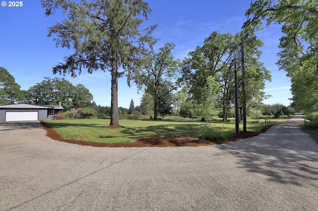 view of asphalt driveway