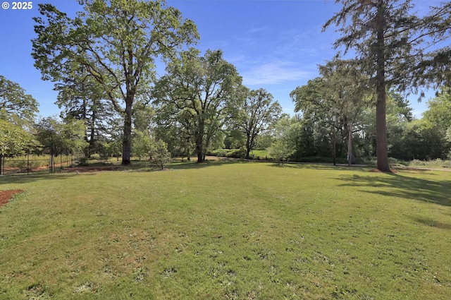 view of green lawn