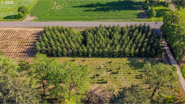 overview of rural landscape