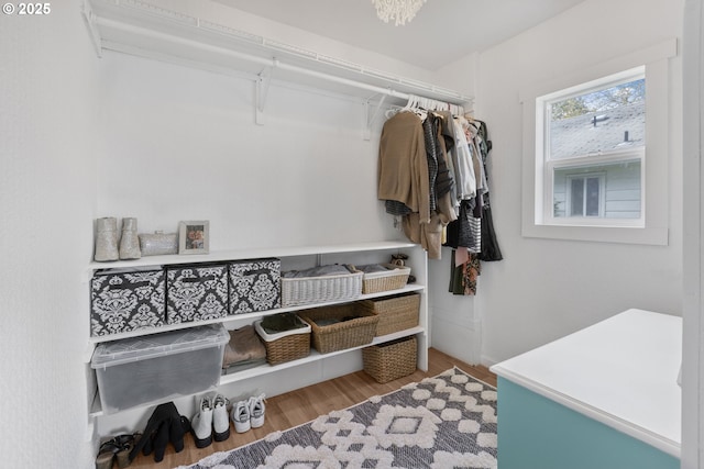 255 W F St, Halsey, OR 97348 - spacious closet with wood finished floors