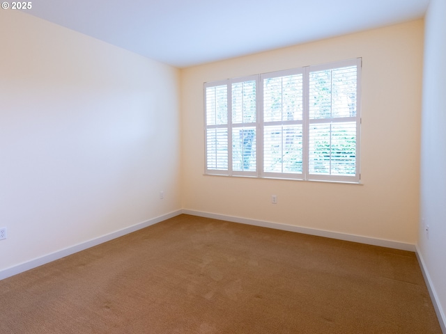 carpeted spare room with a healthy amount of sunlight