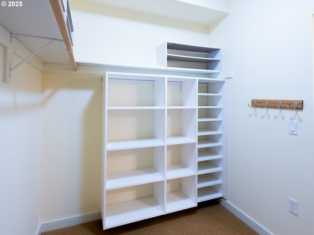 spacious closet featuring carpet flooring