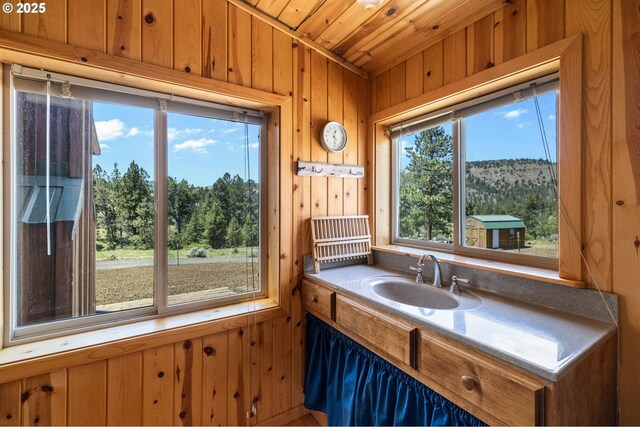 0 Hwy 395, Mount Vernon, OR 97865 - bathroom featuring wooden walls, wooden ceiling, vanity, and view of scattered trees