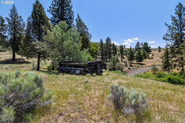 0 Hwy 395, Mount Vernon, OR 97865 - view of local wilderness