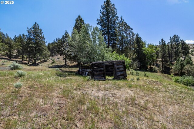 0 Hwy 395, Mount Vernon, OR 97865 - view of yard with a view of trees