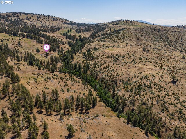 0 Hwy 395, Mount Vernon, OR 97865 - mountain view