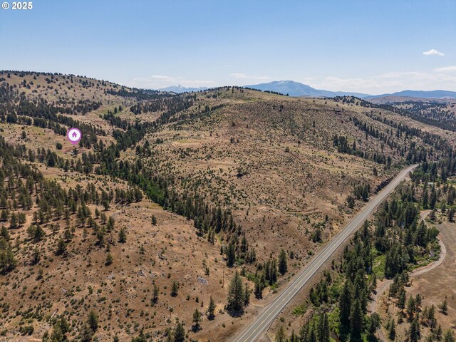 0 Hwy 395, Mount Vernon, OR 97865 - view of mountain background