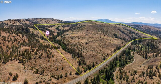 0 Hwy 395, Mount Vernon, OR 97865 - view of mountain background