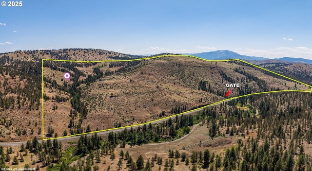 0 Hwy 395, Mount Vernon, OR 97865 - mountain view