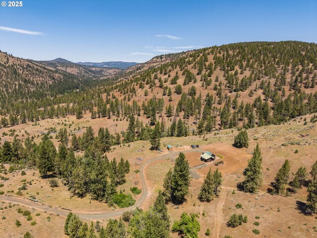 0 Hwy 395, Mount Vernon, OR 97865 - view of mountain background