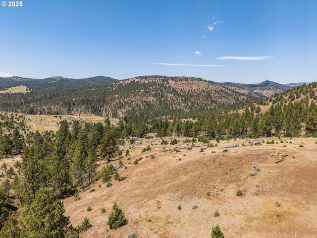 0 Hwy 395, Mount Vernon, OR 97865 - mountain view