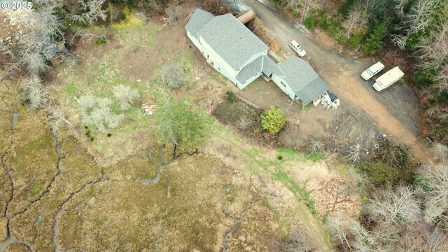 drone / aerial view