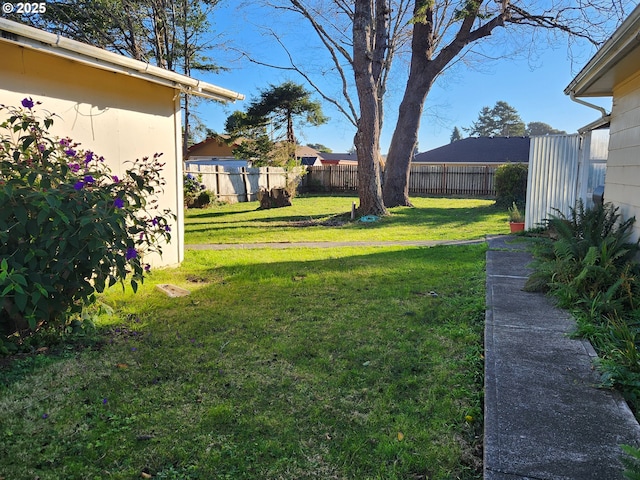 view of yard