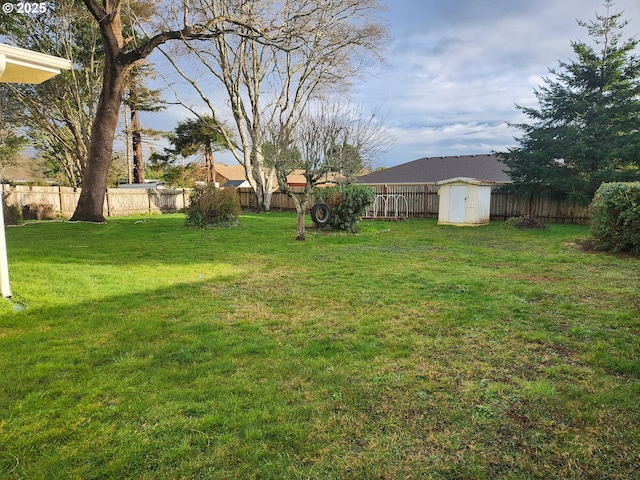 view of yard with a storage unit