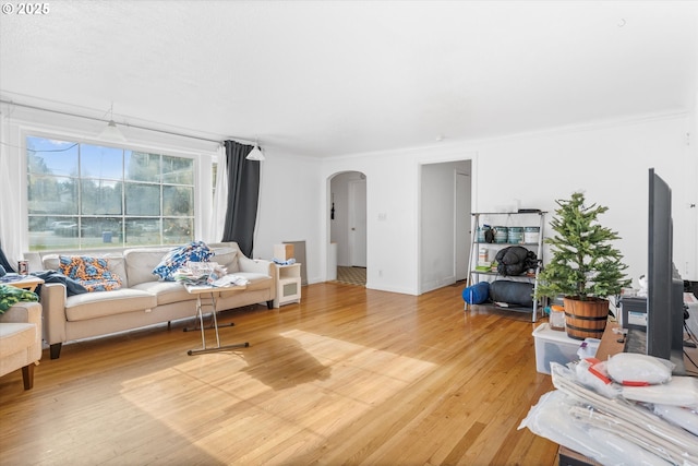 living room featuring hardwood / wood-style flooring