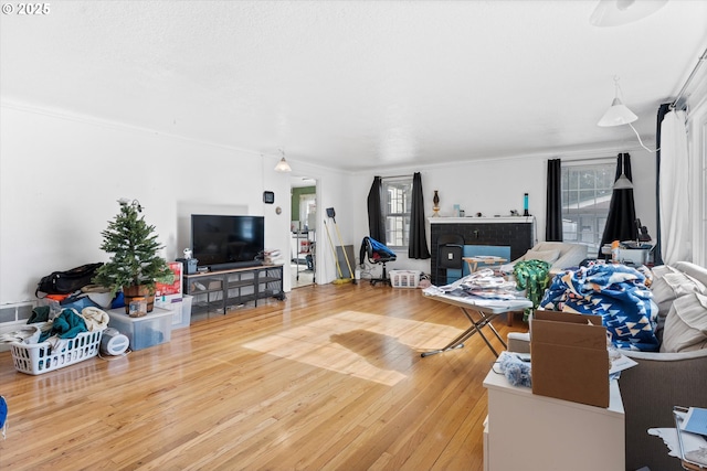 living room with crown molding, plenty of natural light, and hardwood / wood-style floors