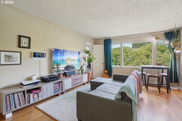 living room with a textured ceiling and hardwood / wood-style flooring