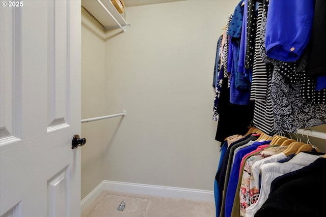 2648 SE Risley Ave, Milwaukie, OR 97267 - walk in closet with carpet flooring