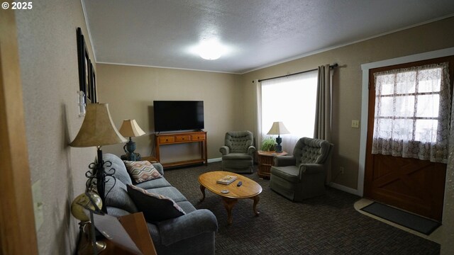 145 E Franklin Ave, Dayville, OR 97825 - carpeted living area with ornamental molding and baseboards